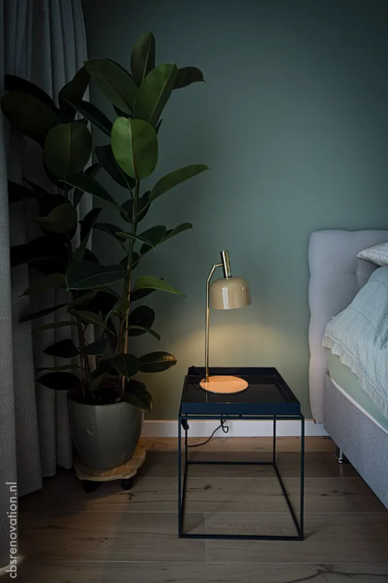 Bedroom corner with a bedside lamp and a large houseplant
