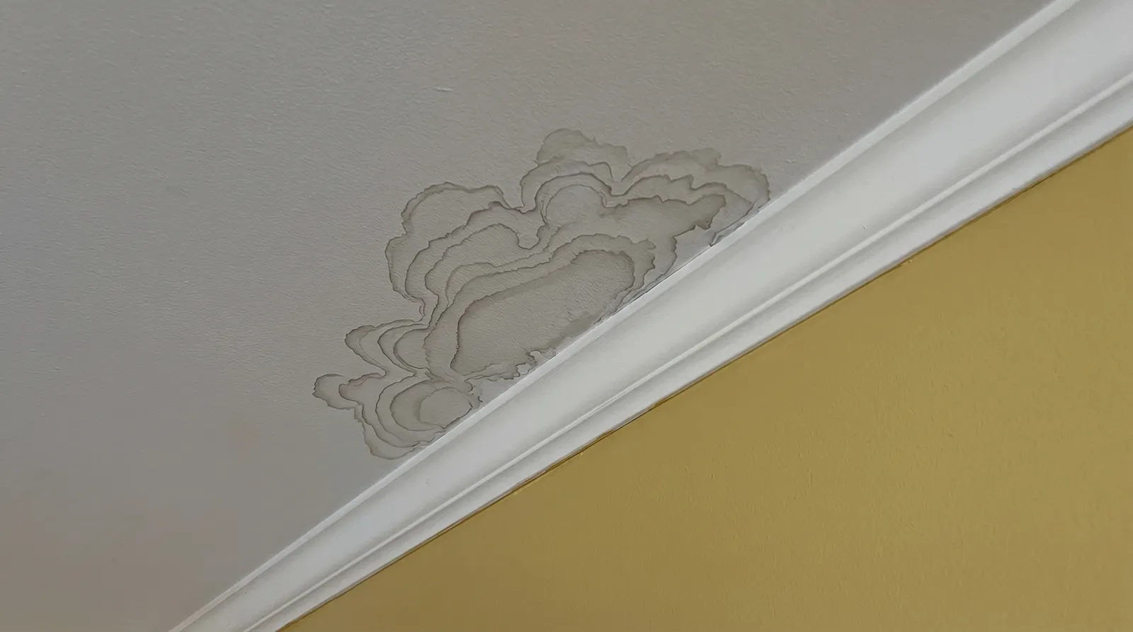 how to fix water leak in ceiling